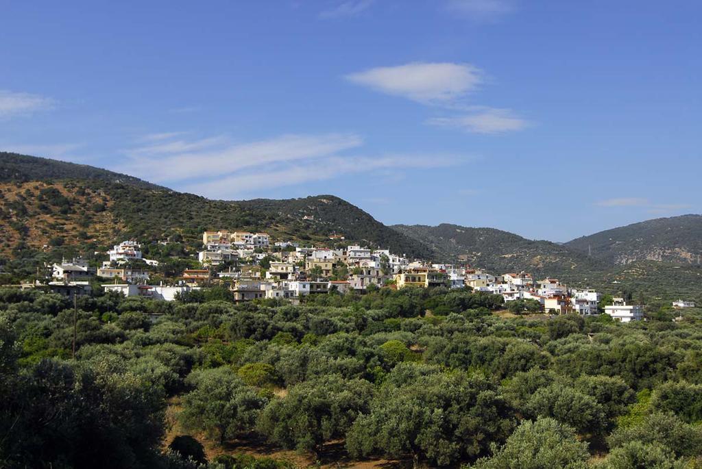 Apartment Karavostassi - The Stonehouse